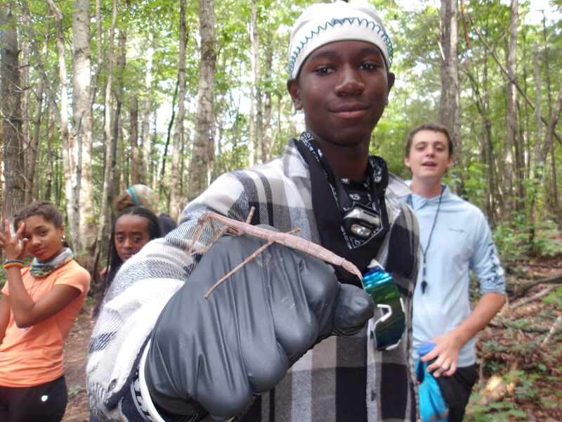 KODAK Digital Still Camera